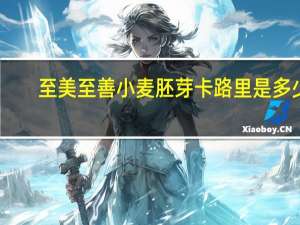 至美至善 小麦胚芽卡路里是多少
