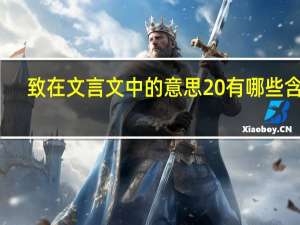 致在文言文中的意思 有哪些含义