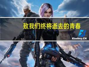 致我们终将逝去的青春（关于致我们终将逝去的青春的介绍）