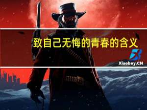 致自己无悔的青春的含义