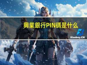 興業銀行PIN碼是什么