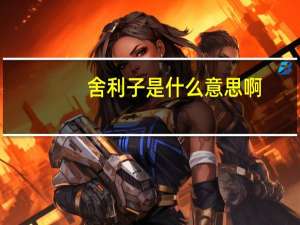 舍利子是什么意思啊（舍利子是什么意思）