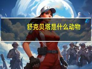舒克贝塔是什么动物
