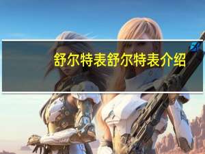 舒尔特表舒尔特表介绍