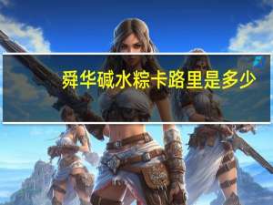 舜华 碱水粽卡路里是多少