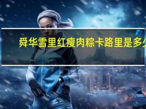 舜华 雪里红瘦肉粽卡路里是多少