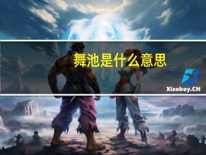 舞池是什么意思