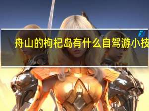 舟山的枸杞岛有什么自驾游小技巧