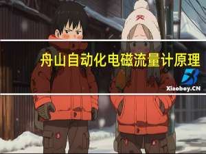 舟山自动化电磁流量计原理