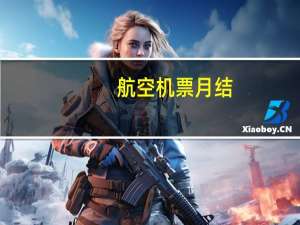航空机票月结
