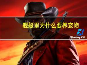 舰艇里为什么要养宠物