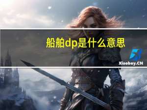 船舶dp是什么意思