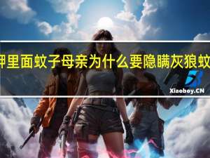 艋舺里面蚊子母亲为什么要隐瞒灰狼蚊子的身世