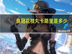 良冠 花枝丸卡路里是多少