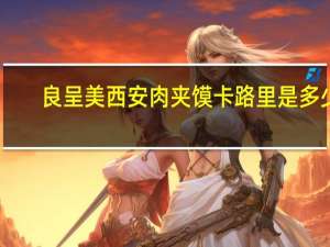良呈美 西安肉夹馍卡路里是多少