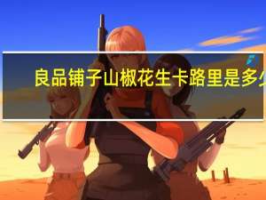 良品铺子 山椒花生卡路里是多少