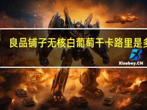 良品铺子 无核白葡萄干卡路里是多少