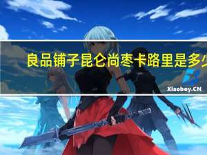 良品铺子昆仑尚枣卡路里是多少