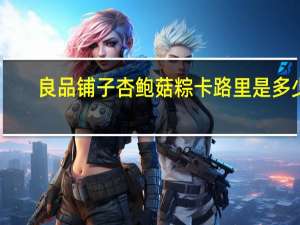 良品铺子 杏鲍菇粽卡路里是多少