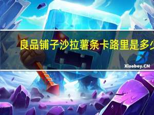 良品铺子 沙拉薯条卡路里是多少