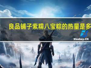 良品铺子 紫糯八宝粽的热量是多少