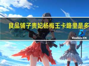 良品铺子 贵妃杨梅王卡路里是多少