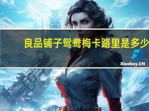 良品铺子鸳鸯梅卡路里是多少