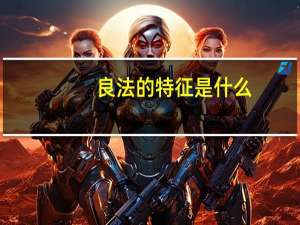 良法的特征是什么