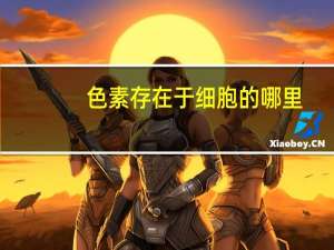 色素存在于细胞的哪里