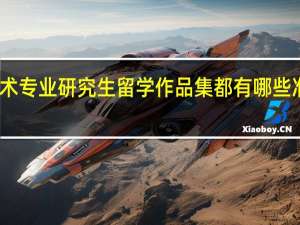 艺术专业研究生留学作品集都有哪些准备标准