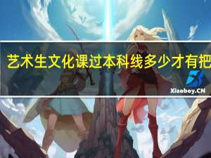 艺术生文化课过本科线多少才有把握啊