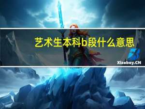 艺术生本科b段什么意思