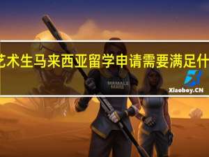 艺术生马来西亚留学申请需要满足什么条件
