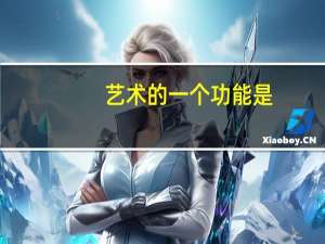 艺术的一个功能是