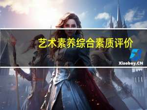 艺术素养综合素质评价（艺素）