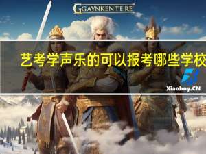 艺考学声乐的可以报考哪些学校啊