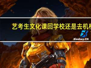 艺考生文化课回学校还是去机构