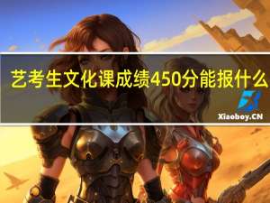 艺考生文化课成绩450分能报什么学校