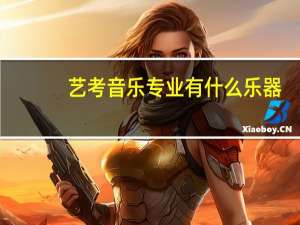 艺考音乐专业有什么乐器