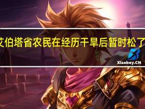 艾伯塔省农民在经历干旱后暂时松了一口气，但挑战仍在继续