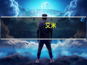 艾米（关于艾米的介绍）