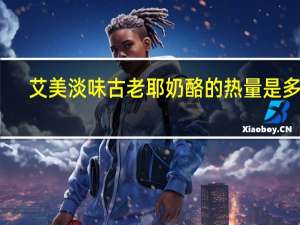 艾美 淡味古老耶奶酪的热量是多少