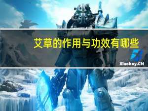 艾草的作用与功效有哪些（艾草的作用与功效是什么）