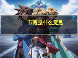 节段是什么意思
