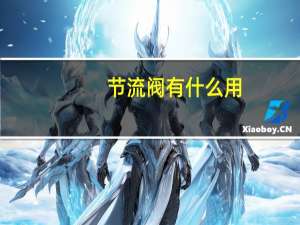 节流阀有什么用