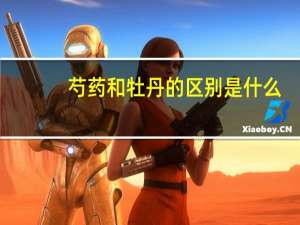 芍药和牡丹的区别是什么