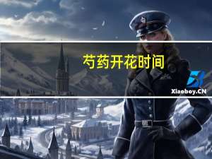 芍药开花时间