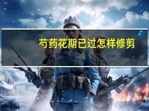 芍药花期已过怎样修剪（芍药花期）