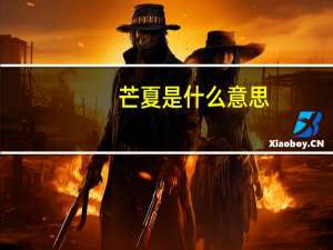 芒夏是什么意思