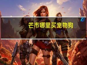 芒市哪里买宠物狗